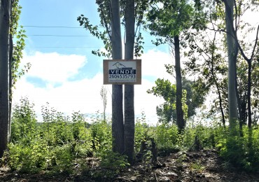 Vendo lote Amplio terreno en calle Costanzo San Rafael 2150 m²