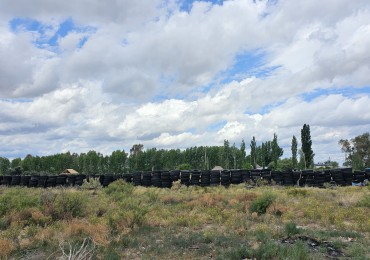 Lote en Venta sobre Av. Las Virgenes - 4.000 m² | Ubicacion Estrategica Se ofrece interesante lote ubicado sobre Av. Las Virgenes, en Las Paredes, San Rafael, Mendoza