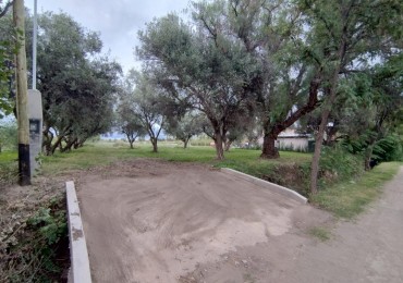 Vendo Lote 7400 m² con Avance pilastras, puente, pozo, olivos. Sonbre Ejercito de los Andes Rama Caida. Ejercito de los Andes. San Rafael. Mendoza 