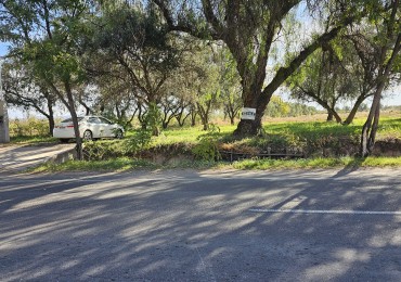 Vendo Lote 7400 m² con Avance pilastras, puente, pozo, olivos. Sonbre Ejercito de los Andes Rama Caida. Ejercito de los Andes. San Rafael. Mendoza 