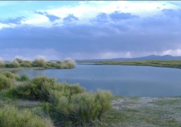 VENDO PUESTO DE 4 HECTAREAS EN LAGUNA LLANCANELO - MALARGUE, MENDOZA 